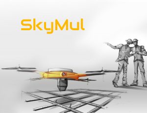 Skymul Construction